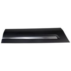 Door Molding Finish Panel - Right, Lower