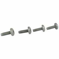 Screw