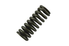 Exhaust Valve Spring for S60 14L DDEC VI EPA07