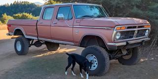1975 Ford P-350