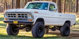 1971 Ford F-100
