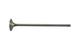 Intake Valve - S60 14L DDEC VI EPA07