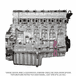 Long Block Engine for Detroit Diesel DD13 12.8L GHG17 with Rear Sump, ESN 0917729 and Earlier Models with 3 Rocker Jake