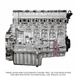 3/4 Engine DD15 14.8L GHG14 with Rear Sump, CSR Piston, T/C Turbo