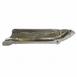 Exhaust Heat Shield Manifold - Right 6.8L