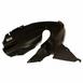 Fender Splash Shield Wheelhouse - Right