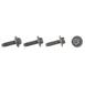 Drive Motor Battery Pack Bolt - M6 X 16MM 3.3L