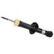 Suspension Shock Absorber Strut - Rear