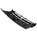 Radiator Grille - Front (Limited)