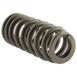 Engine Valve Spring - 5.2L