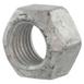 Hex Head Nut
