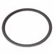 Abs Wheel Speed Sensor Tone Ring - Rear 5.4L