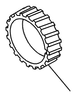 Gear