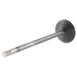 Engine Exhaust Valve