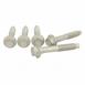 Suspension Trailing Arm Bolt - M10 X 60MM, Rear
