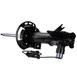 Suspension Strut - Right, Front