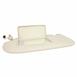 Sun Visor