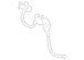 Brake Hydraulic Hose RWD - Right, Front