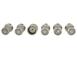 Raptor Chrome-Plated for Exposed Lug Wheel Lock Kit