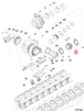 3645409 Image2