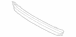 Bumper Grille - Front