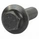 Hex Head Bolt Automatic Transmission Flexplate - 5.2L