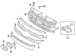 Grille Molding - Front