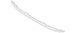 Grille Molding - Front