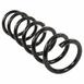 Coil Spring - Left, Right, Rear