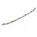 Grille Molding - Front