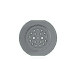Right 4918486 Image 6