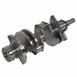 Cast Crank Crankshaft - 5.4L