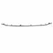 Grille Molding - Front
