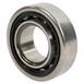 Manual Transmission Input Shaft Bearing (6-MT)