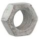 Hex Head Nut