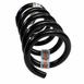 Coil Spring - Left, Right, Rear