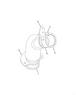 Figure 4051713C2