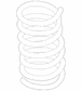 Coil Spring - Rear