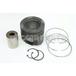 PISTON,ENGINE (KIT)