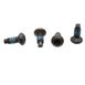 Door Latch Bolt - M6 X 13, Front, Rear