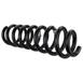 Coil Spring - Front