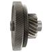 Gear and Shaft