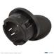 Cover ASM FNA GU MEX MPS SN Pair VIR