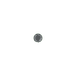 Right 3944243 Image 6