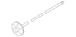 Drive Axle Shaft - Left, Rear