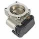 Fuel Injection Throttle Body and MOTO - 4.6L