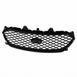 Radiator Grille - Front (Police)