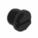 Engine Plug