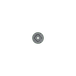 Right 5572873 Image 6